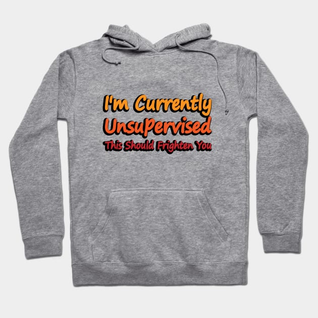 I'm Currently Unsupervised This Should Frighten You Hoodie by DinaShalash